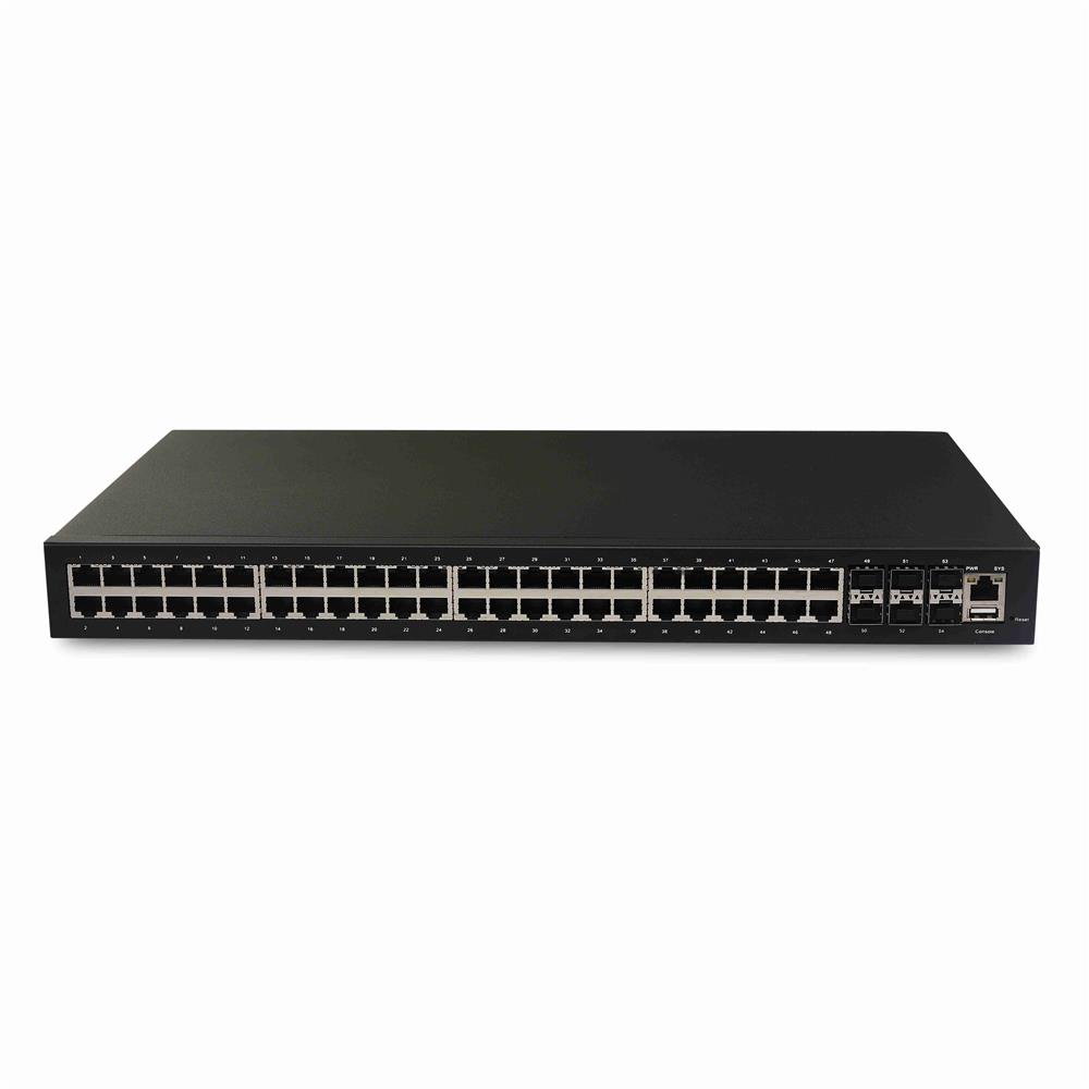 48 Port Switch